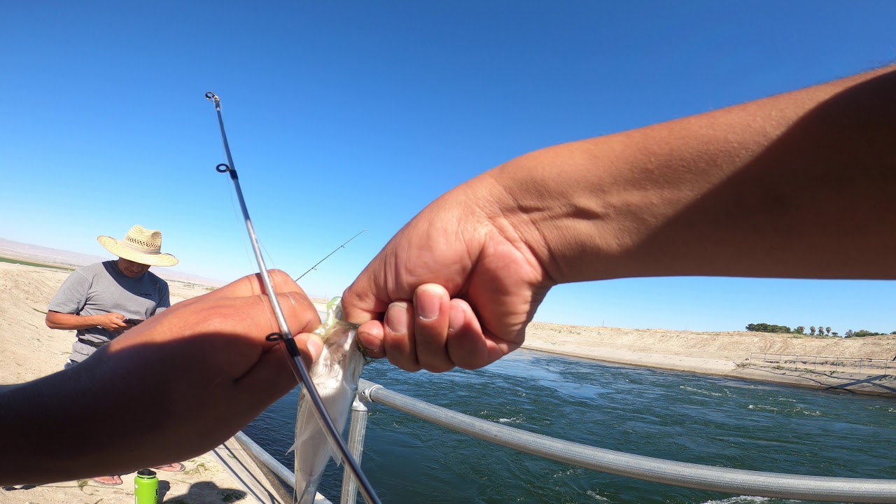 California aqueduct fishing striper bass YouTube