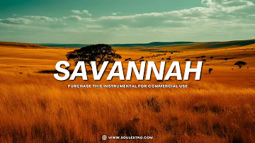 [Free] Amapiano Type Beat "SAVANNAH" | Afrobeat Type Beat 2023 | Afro Type Beat Instrumental 2023