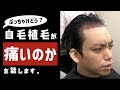 自毛植毛って、ぶっちゃけ痛いの？