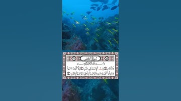 سورة العصر بصوت القارئ أحمد العجمي...✨️✨️✨️✨️✨️✨️✨️