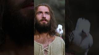 🕊️ #jesus #jesusfilm #shorts #JesusBaptism #HolySpiritDescent