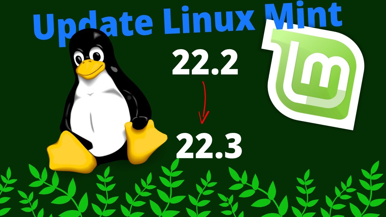 How to Update Linux Mint 22.2 to 22.3 Safely (Step-by-Step Guide)