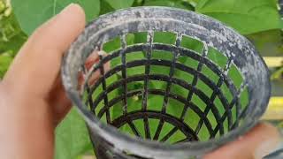 hydrophonic system लगाने मैं लगने wali cost or setup lgane ki jankari 🤔#hydroponic #hydroponics