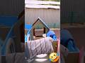 У вас тоже так смешно Funnyvideo юмор прикол смешноевидео смех Comedy приключения Funny У вас тоже так смешно Funnyvideo юмор прикол смешноевидео смех Comedy приключения Funny