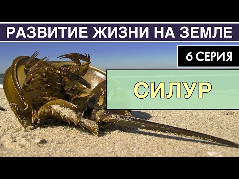 СИЛУРИЙСКИЙ ПЕРИОД. Развитие жизни на Земле. 6 серия | Колонизация суши