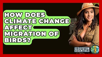 How Does Climate Change Affect Migration Of Birds? - Ecosystem Essentials