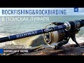 В поисках луфаря. ROCKFISHING & ROCKBIRDING! Знакомство с XESTA RUNWAY SLS S94