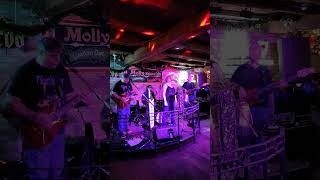 Rocking at Molly Bloom London ON #2023shorts #newyear2024