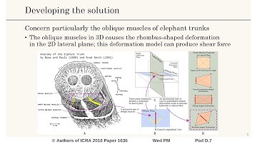 Incorporate Oblique Muscle Contractions to Strengthen Soft Robots