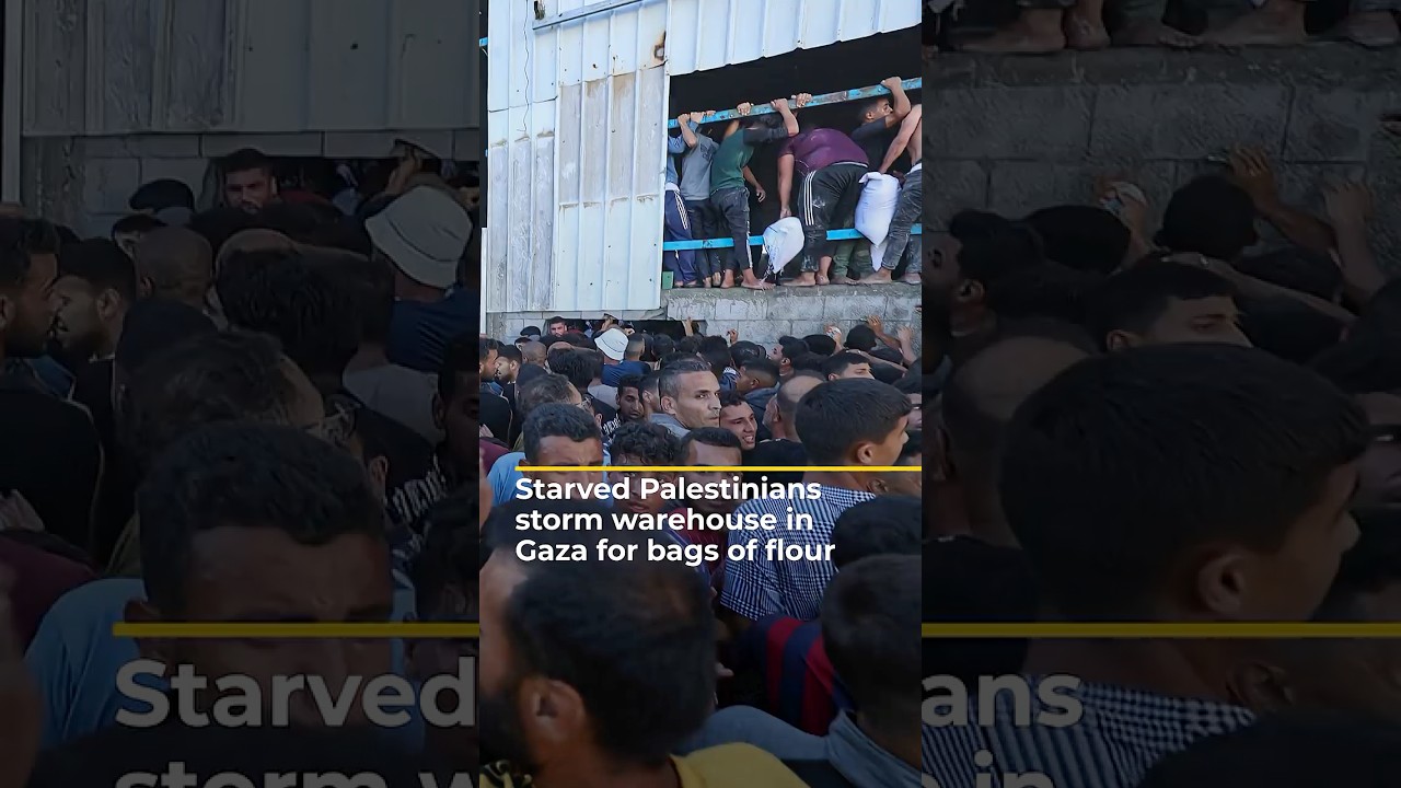 آلاف الفلسطينيين الجائعين يقتحمون مستودعاً في غزة للحصول على أكياس من الطحين | AJ #shorts