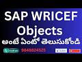 SAP WRICEF Objects అంటే ఏంటో తెలుసుకోండిSAP FICO TRAINING IN TELUGU FICO S4HANA Training in Telugu