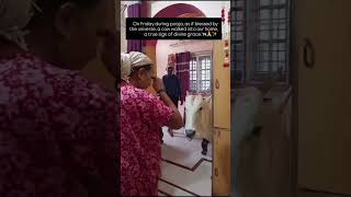 gomatha🙏🤍 #cow #friday #god #viral #ytshorts #trendingshorts #devine #devotional #gomata