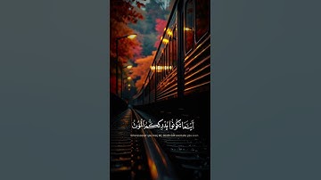 #قرآن #راحة_نفسية #تلاوة_خاشعة #اكسبلور #لايك #تيك_توك #حالات_واتس #ترند