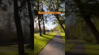 Main tere Ishq mein