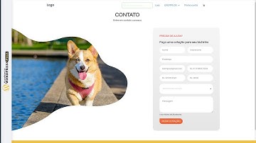 Como criar um formulário avançado GRÁTIS com o ELEMENTOR e WPFORMS - PAGINA DE CONTATO