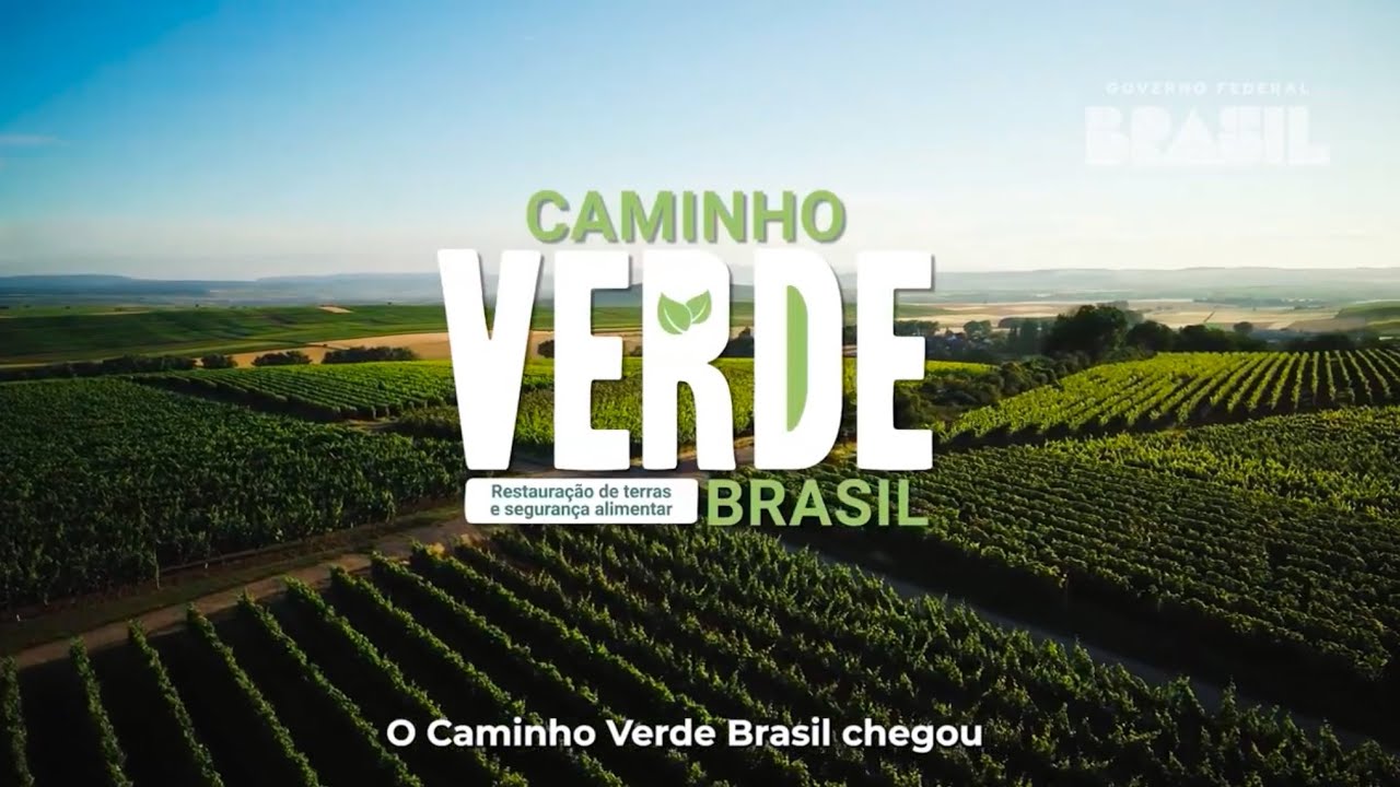 🌳 COP30 e a Agenda Verde do Agro: O "Caminho Verde Brasil" como Estratégia de Valorização de Ativos