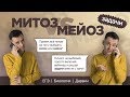 Мейоз и митоз | Решение задач ЕГЭ