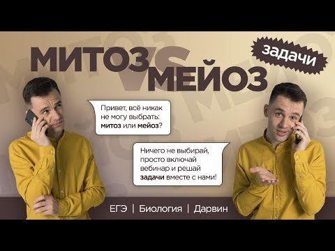 Мейоз и митоз | Решение задач ЕГЭ