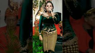 Download Lagu Sambel Kemangi | Silvi Kumalasari | Shorts MP3 Download Lagu Sambel Kemangi | Silvi Kumalasari | Shorts MP3
