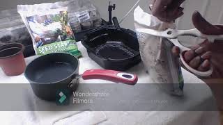 HOW TO USE THE DOLLAR TREE SEED STARTING POTTING MIX | Shout Out To The NEW ORLEANS GARDENER #withme screenshot 5