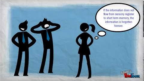 Information Processing 101