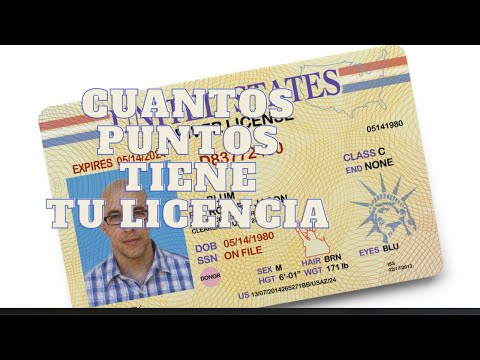 Video: ¿Cuántos puntos tienes en tu licencia en Nebraska?