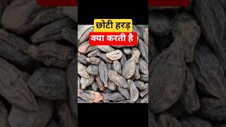 🔥छोटी हरड़ के फायदे और नुकसान #chhotiharad #kaliharad #harad