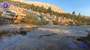 سورة الملك (كاملة) بصوت القارئ الشيخ/ محمد اسبيعان- ( إمام مسجد الشيخ راشد/ الرمس )