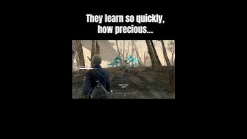 Never seen something so beautiful #fallout4 #gaming #falloutlore #trendingshorts #viral #fyp #memes