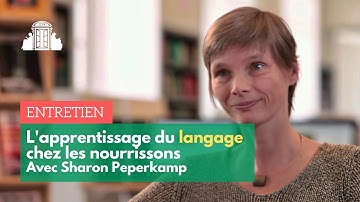 Interview : étudier l