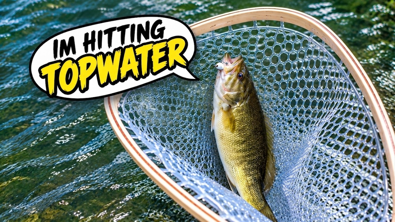 Topwater Bass Fishing in the Creek!