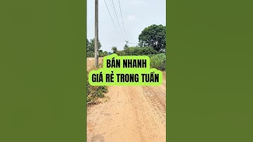 Đất Dầu Tiếng I Bán gấp lô kp giá rẻ trong tuần #datdautieng