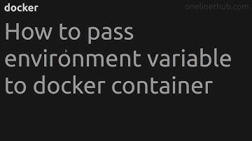 How to pass environment variable to docker container #docker