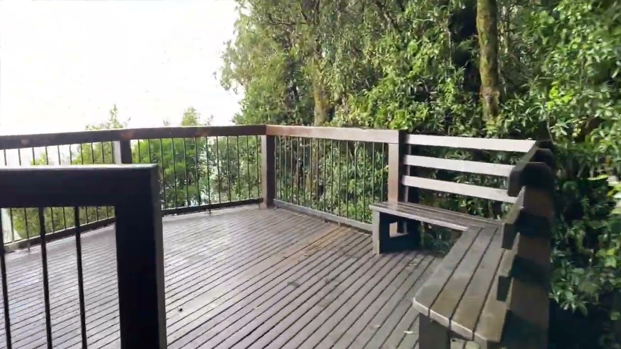 BEST OF ALL LOOKOUT IN SPRINGBROOK NATIONAL PARK GOLD COAST//HIGHLIGHTS//