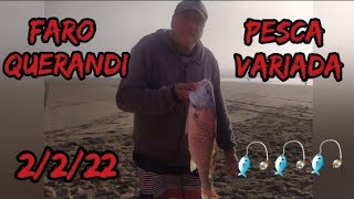 FARO QUERANDI (PESCA VARIADA) 2/2/22