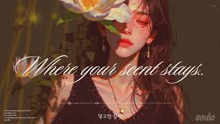 [Music] 차분한 새벽 감성 복고풍 노래 🎵| Ondo | 그대 향기 머무는 곳.ver1