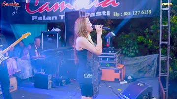 CAMELIA MUSIC - BAWANG MERAH EVIS RENATA - WEDDING PARTY RIO & RIRIS - CLUWAK