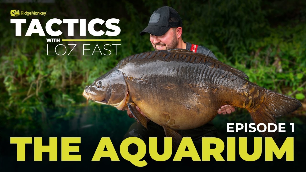 Tactics with Loz East, EP1: The Aquarium, Carp Fishing Tips