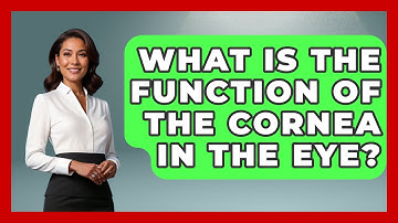 What Is the Function of the Cornea in the Eye? - Optometry Knowledge Base
