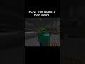 POV: You found a mob head… #minecraft