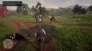 Celebrity Red Dead Redemption 2 Bug - Horse Death Spontaneous Combustion Net Worth