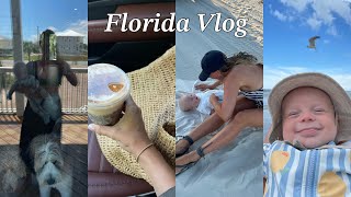 LAST FLORIDA VLOG: my everyday jewelry, crumbl cookie taste test, last few days in Florida