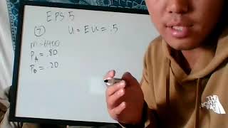 Lecture 14 — Expected Utility & Insurance Practice