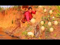 women & monkey finding food meet​ cucumber and chicken- fry chicken for dog- cooking in forest HD