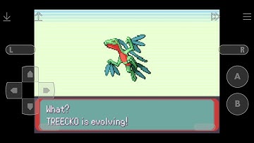 Well done, partner! - Pokémon Emerald
