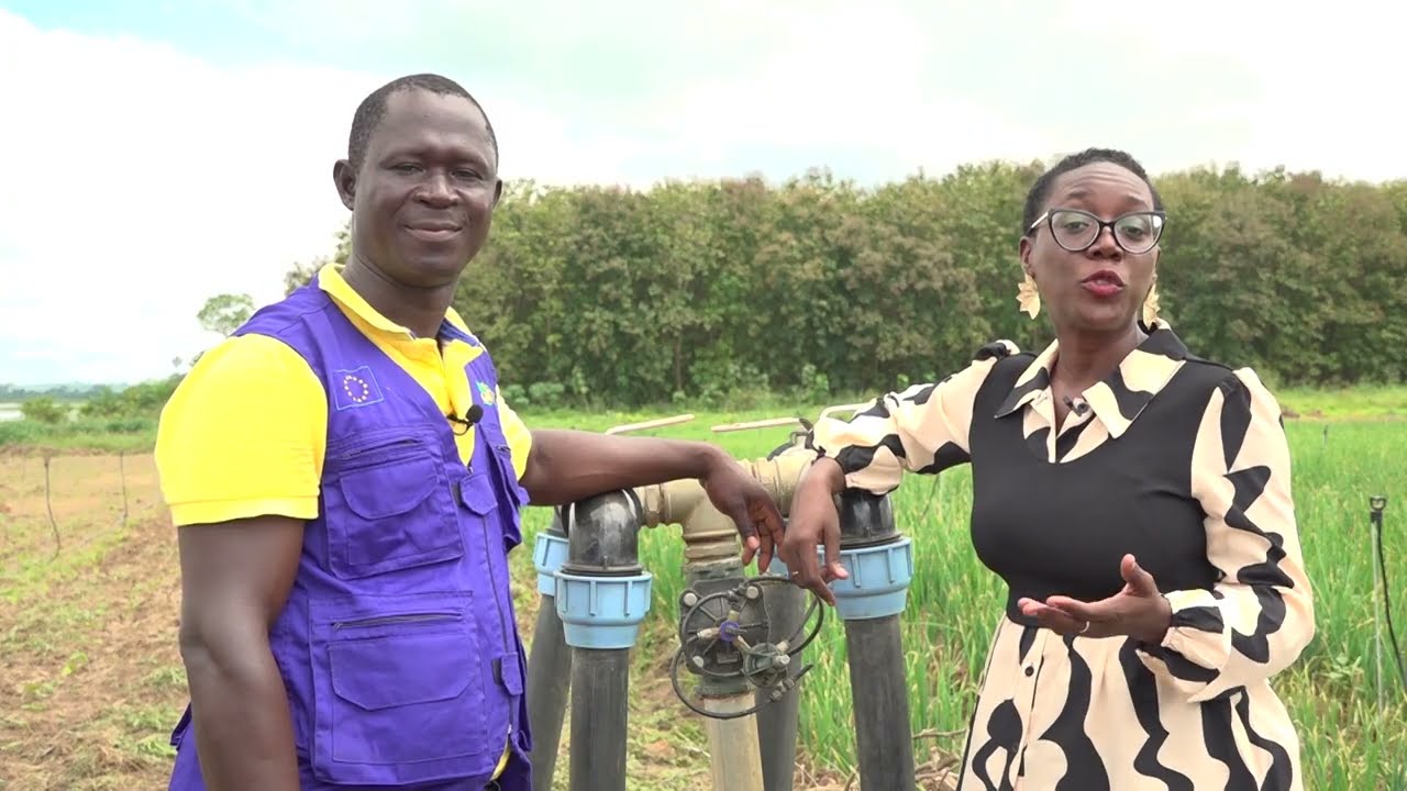 Terre et Progrès du 01 Novembre 2025 | Succes story : KOUADIO KAN, un leader agricole inspirant
