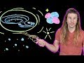 How Do Star Trek’s Deflector Shields Work? (Because Science w/ Kyle Hill)