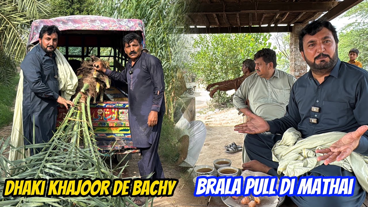 Dhakki khajoor de bachy kaddy | Pull brala di mashoor Khormy mathai