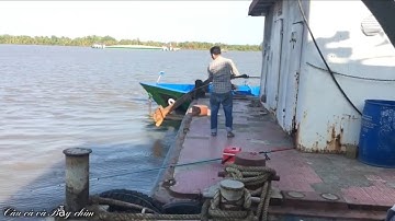 Câu cá ngát trên Sà lan sông cần giuộc