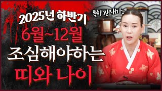 2025년 을사년 하반기 관재,구설,사고수 조심해야하는 띠와 나이 호명